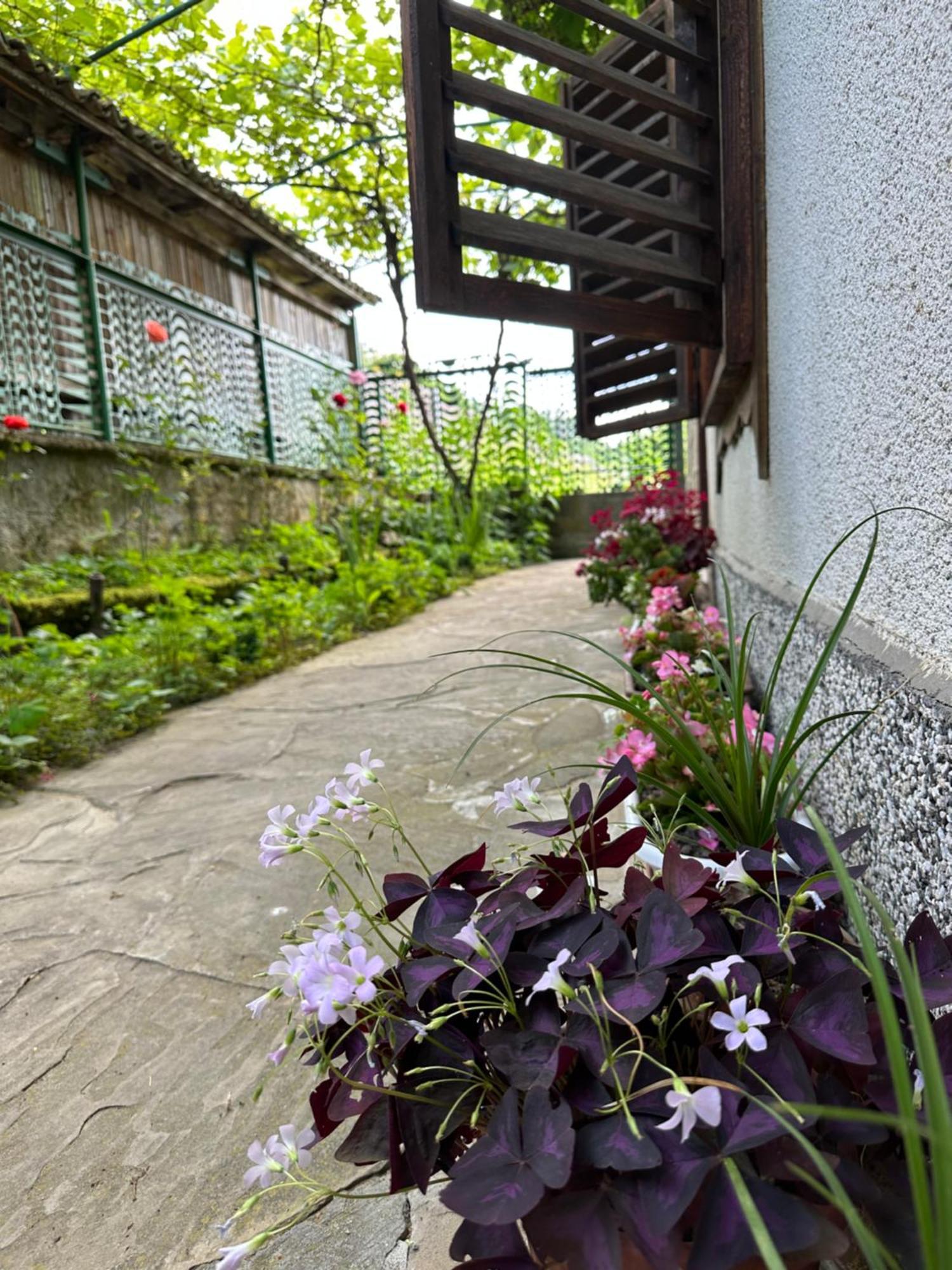 Вила Чевермето Palitsi Exterior photo