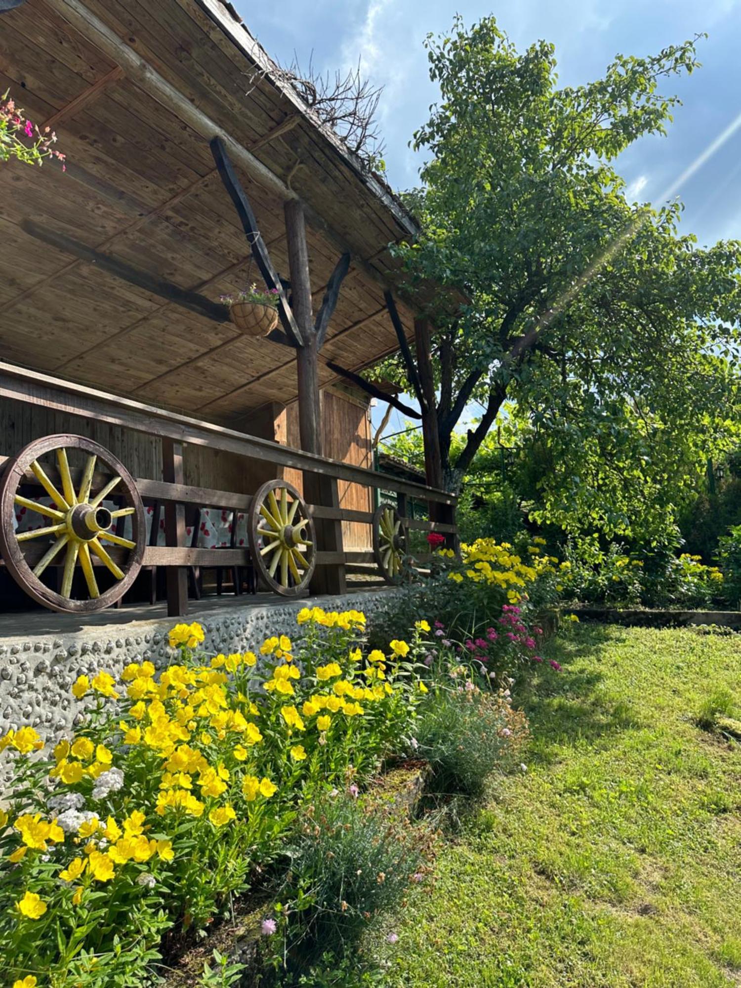 Вила Чевермето Palitsi Exterior photo